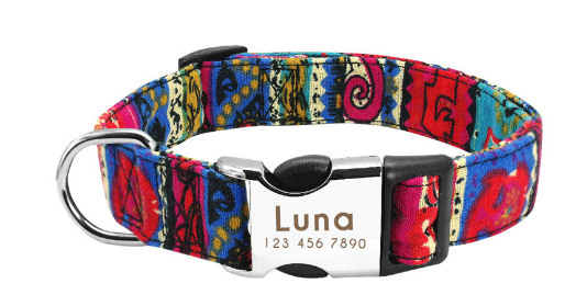Personalized Nylon Dog Collar with Custom Nameplate Tag