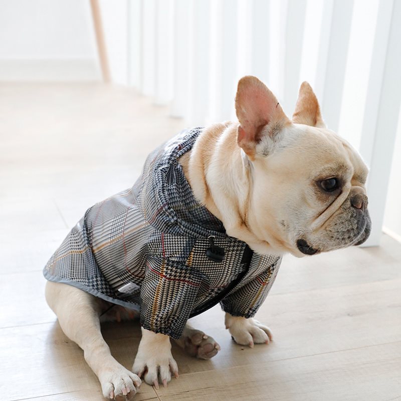 Waterproof Pet Raincoat with Plaid Design for Dogs