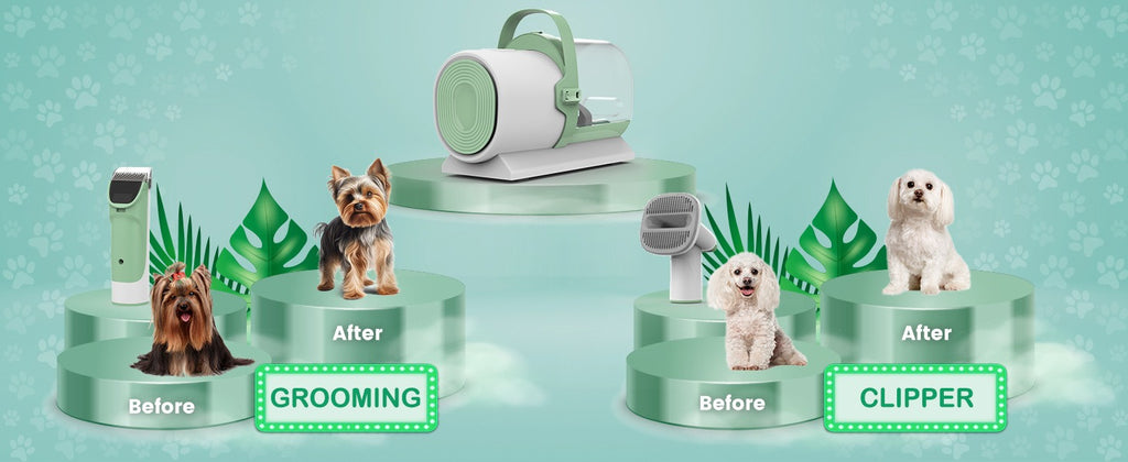 Pet Hair Remover Vacuum All-in-One