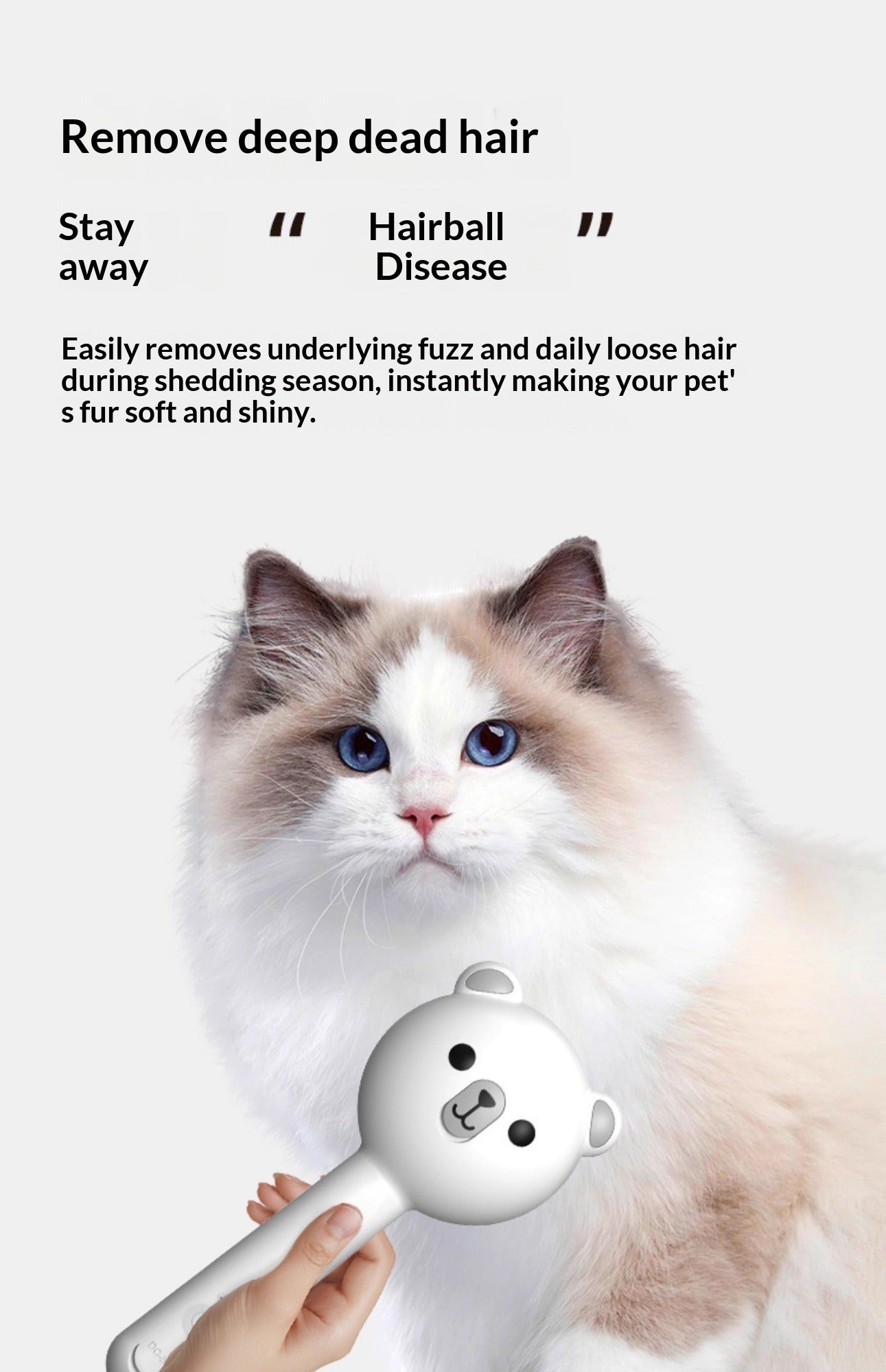 Pet Spray Massage Steam Comb Brush