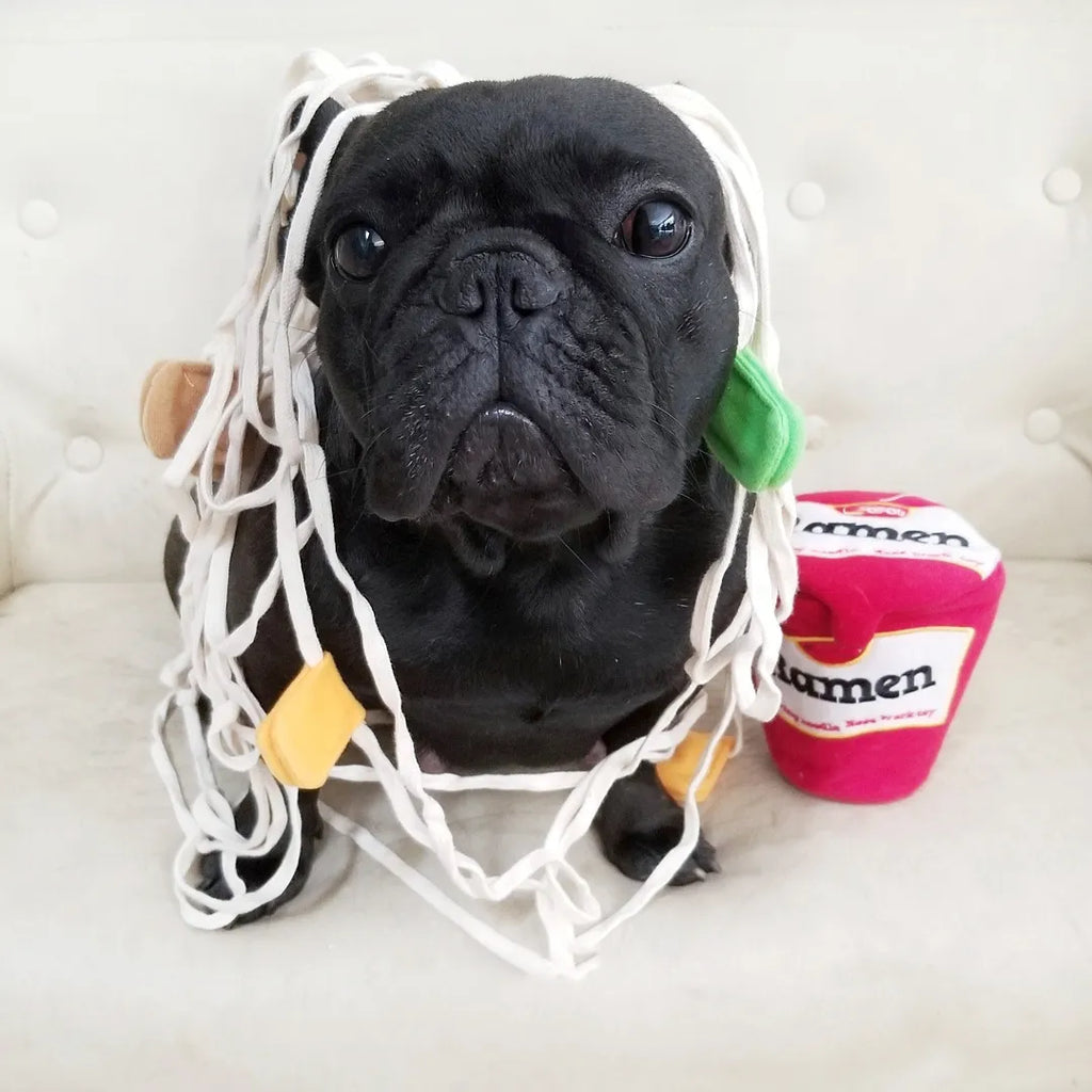 Interactive Korea Ramen Pet Sniffing Toy