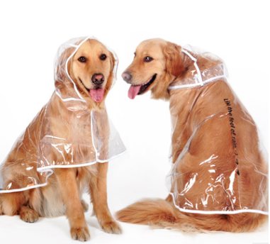 Dog Raincoat for Large and Medium Breeds (Golden, Husky)