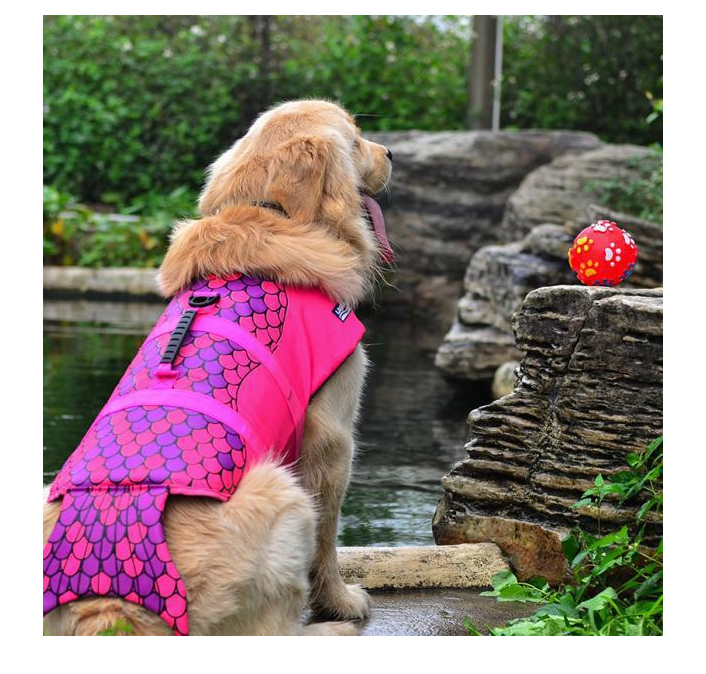 Pet Life Jacket, Swimwear for Mermaid & Clown Fish