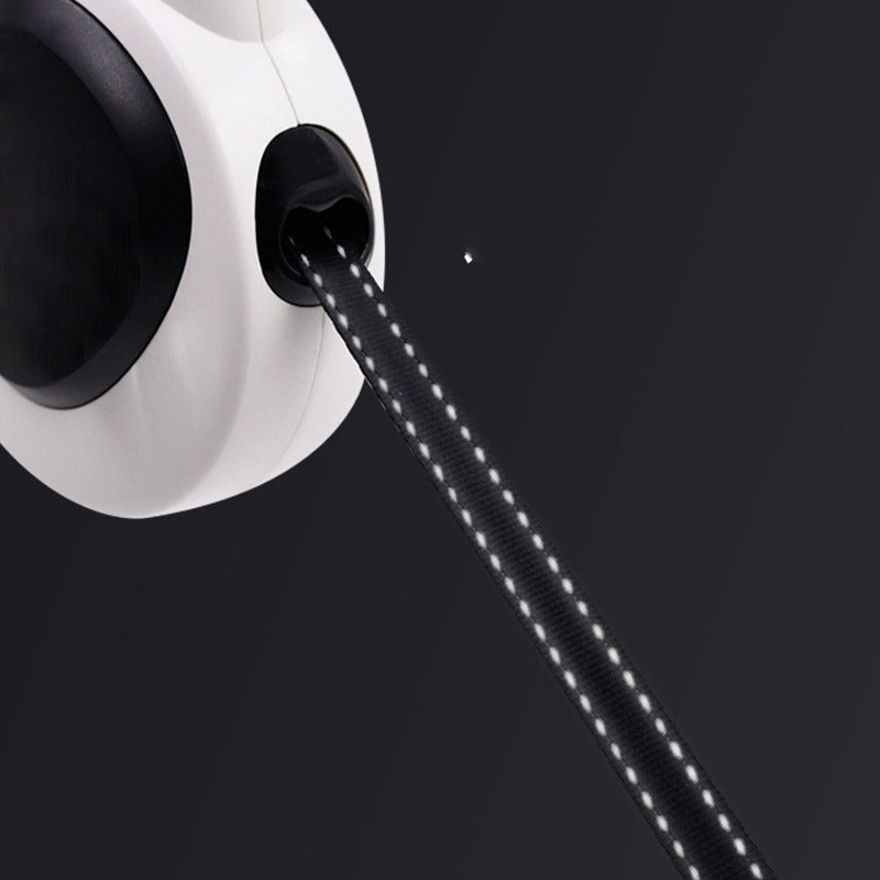 LED Dog Leash with Light