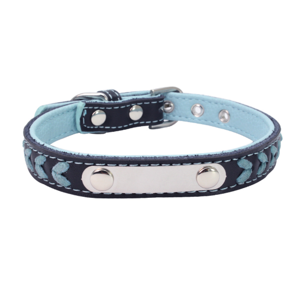Stainless Steel Dog Collar with Colorful Leather Leash