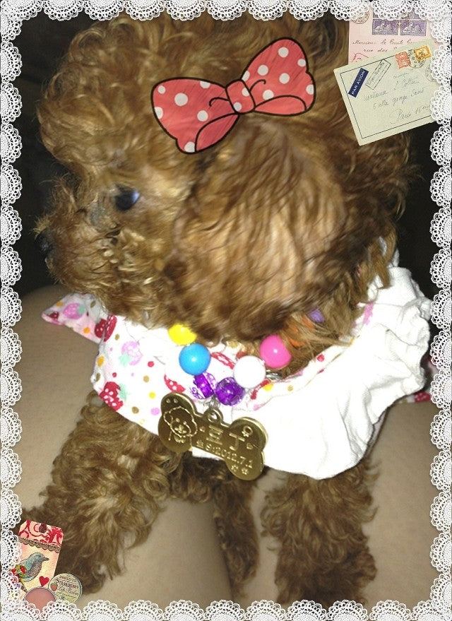 Custom Engraved Metal Dog Tag for Pets (Teddy & Golden)