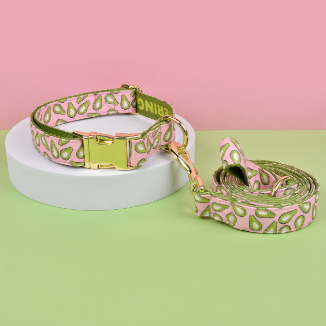 Double-Sided Pet Collar & Leash Set