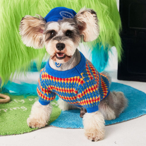 Autumn Winter Colorful Round Neck Dog Sweater