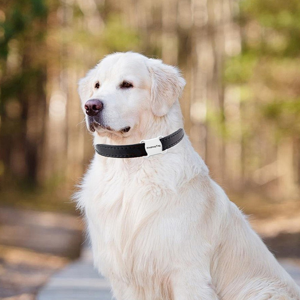 Smart Pet GPS Tracker for Cats and Dogs