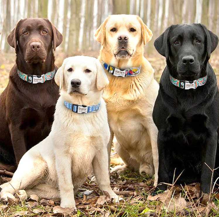Floral Dog Collar with Engraving for Small to Large Breeds