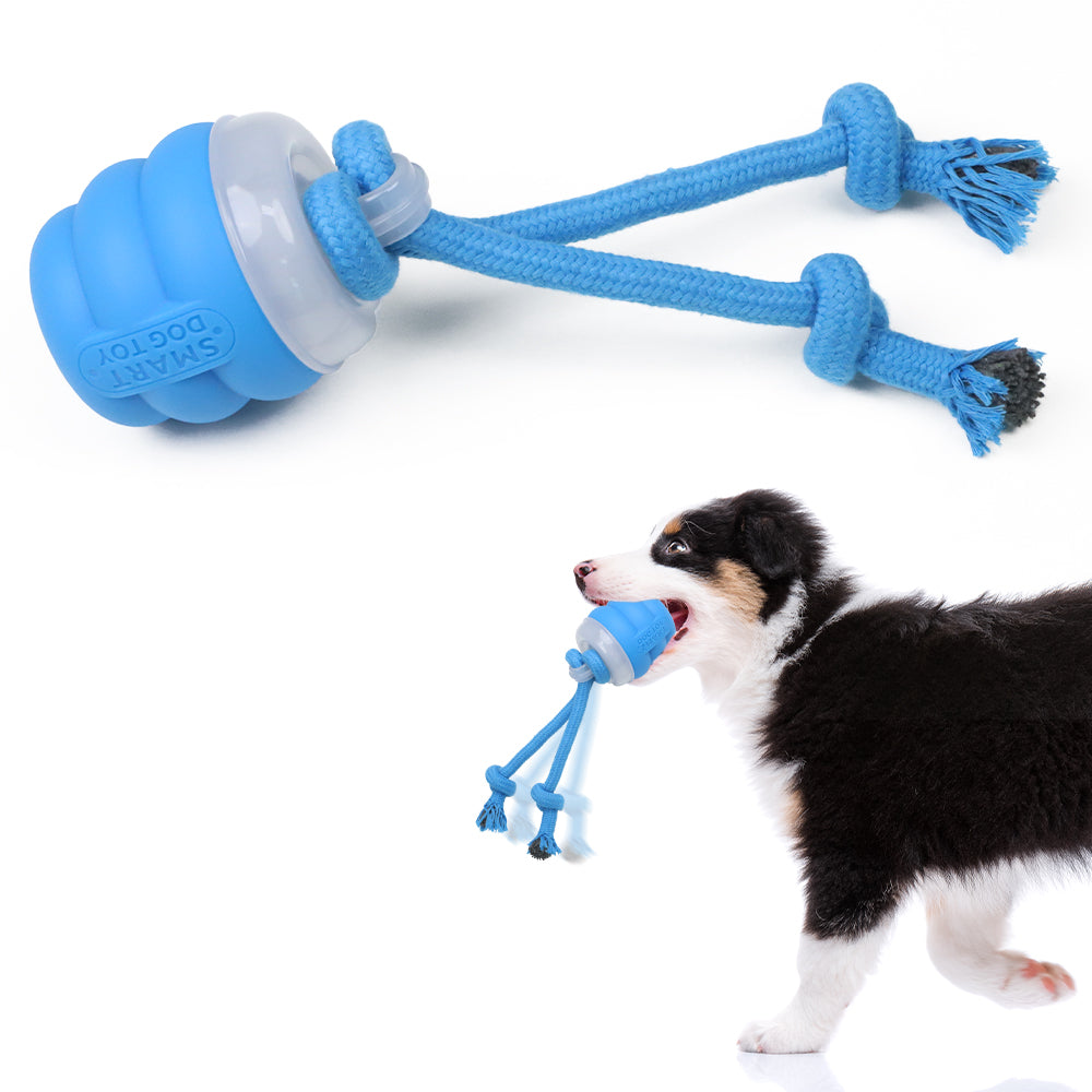 Electric Dog Toy Ball with Leash (Sapphire Blue)