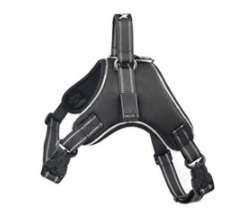 LED Dog Harness for Medium & Large Dogs - Night Travel
