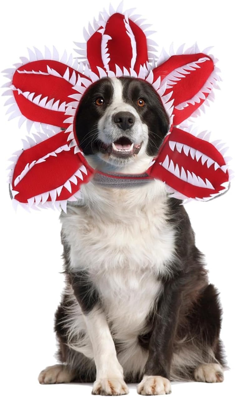 Pet  Flower Costume  Accessories