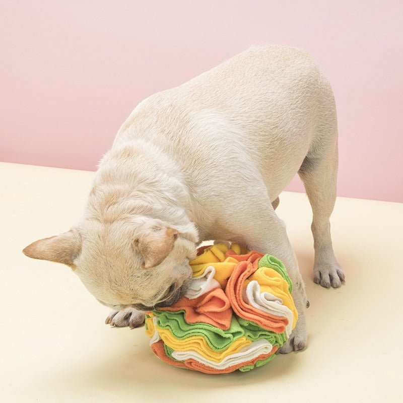 Pet Sniffing Ball