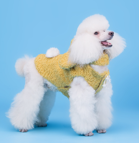 Teddy Dog Pet Clothes for Cubs - Two-Legged Design