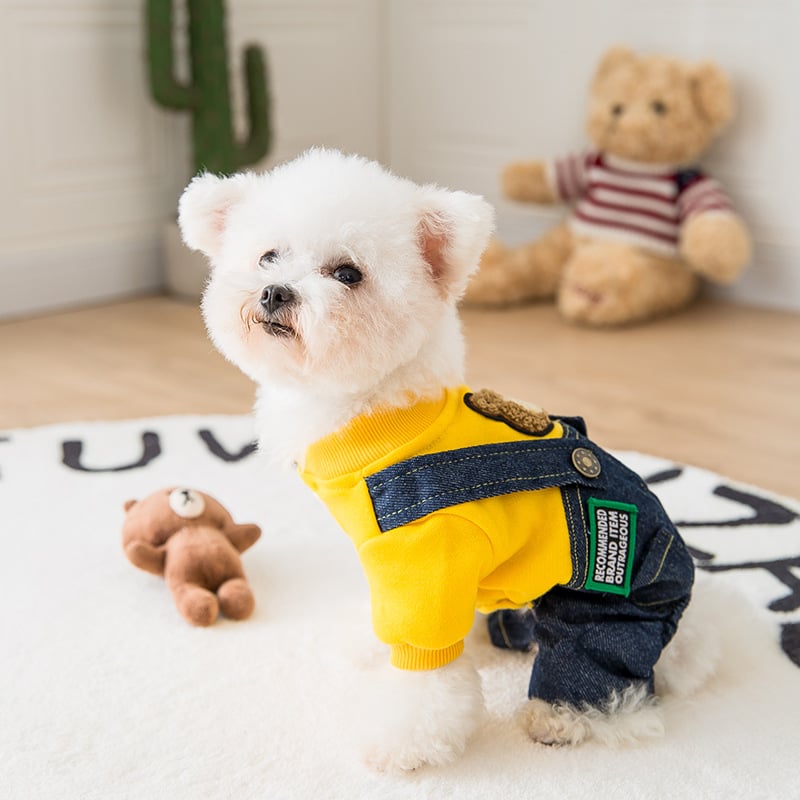 Cute Puppy Four-Legged Pet Clothing Outfit