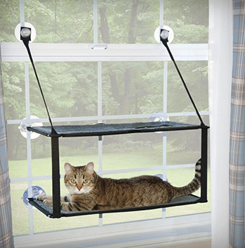 Cat Bed with Removable Washable Suction Cups