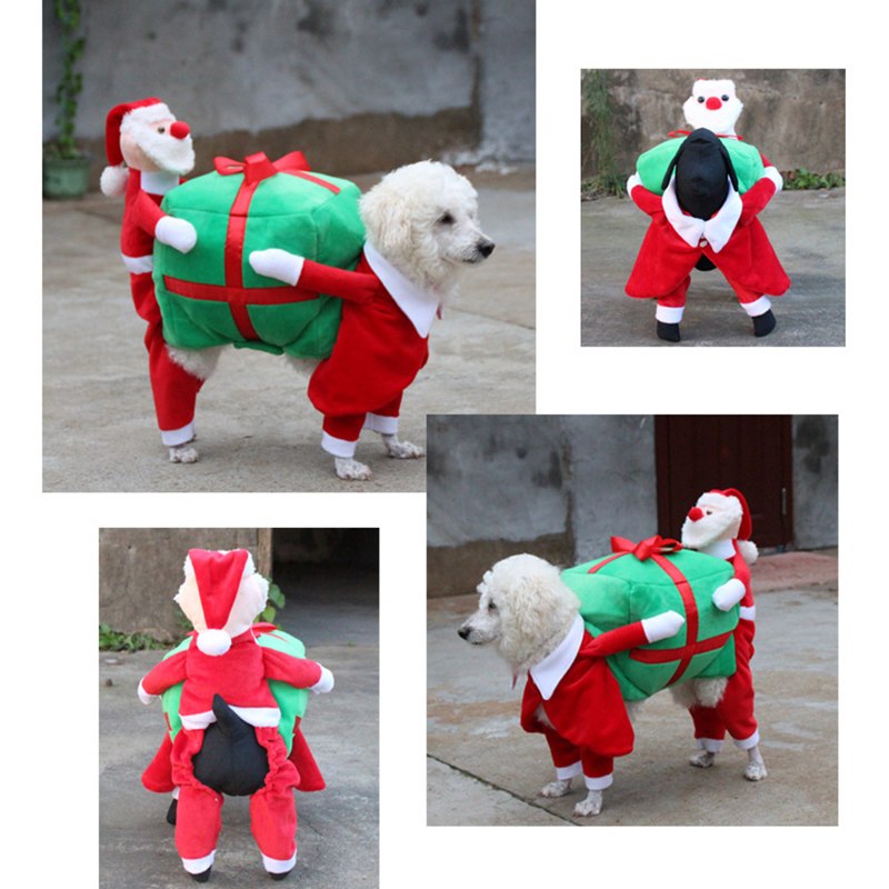 Santa Gift Box Pet Costume for Dogs - Winter Outfit
