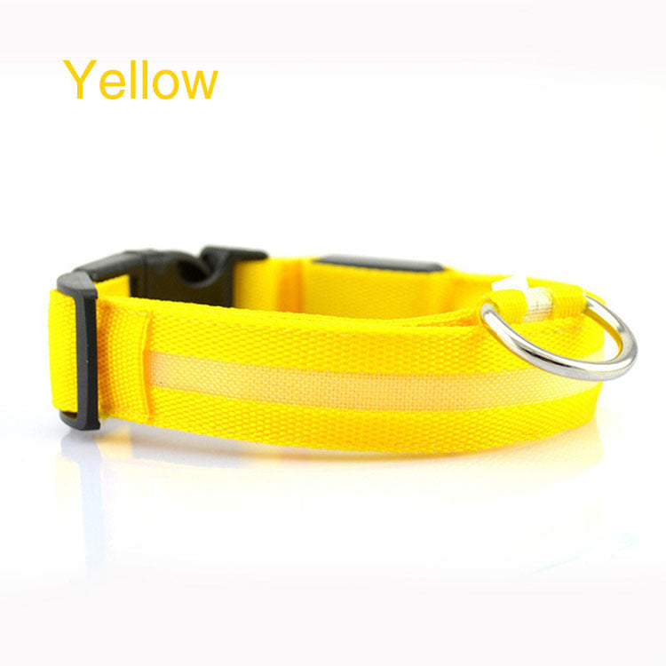 Creative LED Pet Collar for Dogs - Night Safety Light