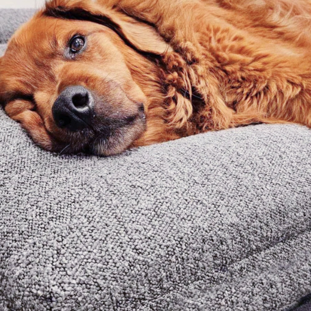 Rectangular Pet Bed Sofa