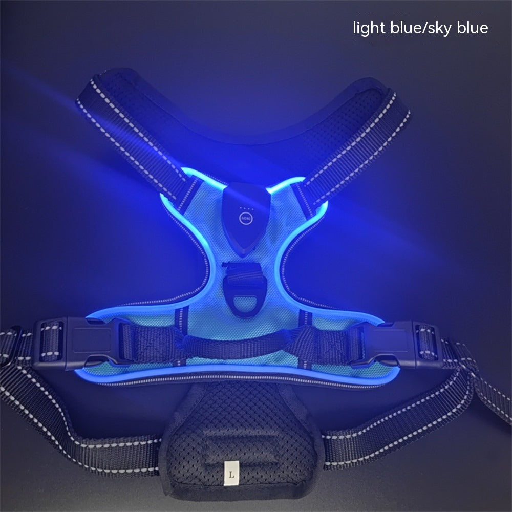 Luminous Dog Vest