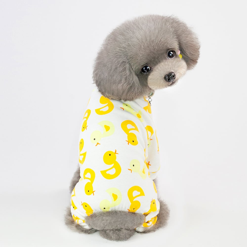 Dog Pajamas with Cartoon Fruit Pattern for Pets