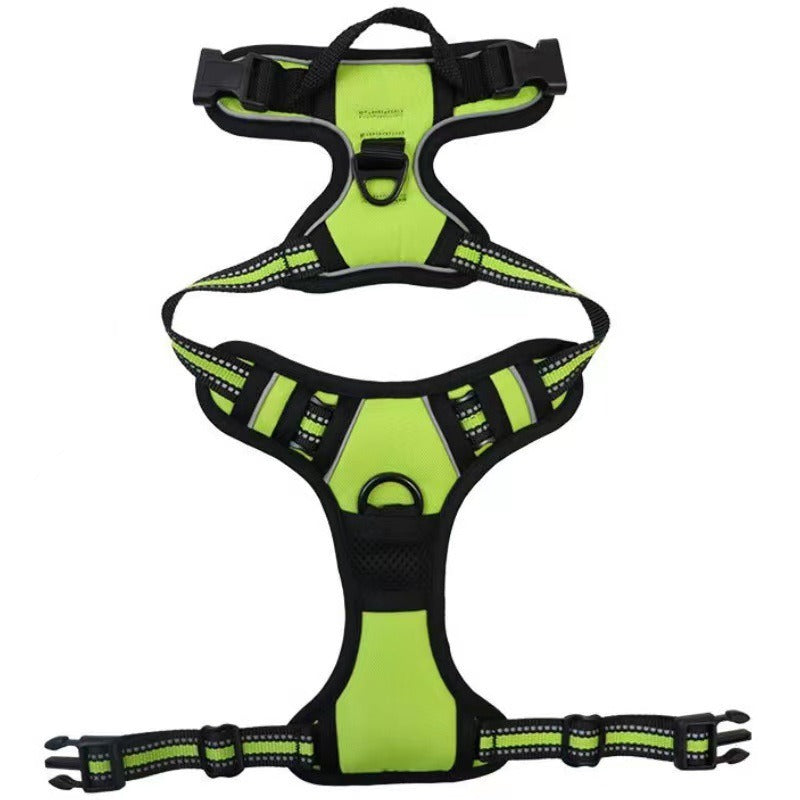 Nylon Dog Harness & Leash Set