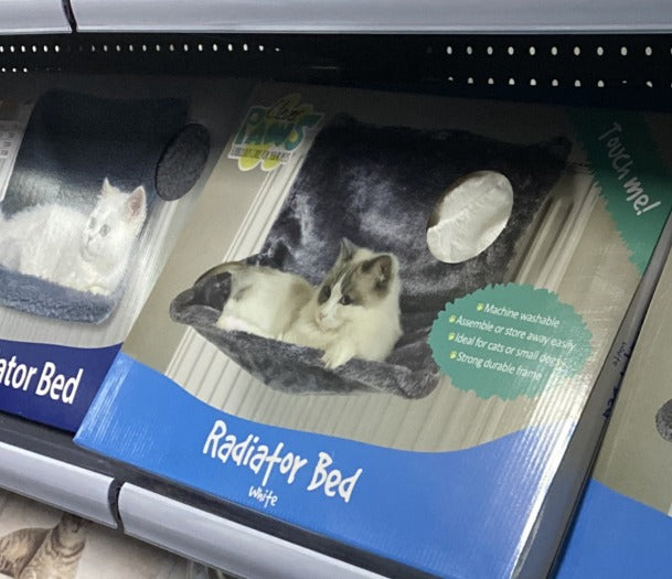 Iron Frame Cat Hammock Bed