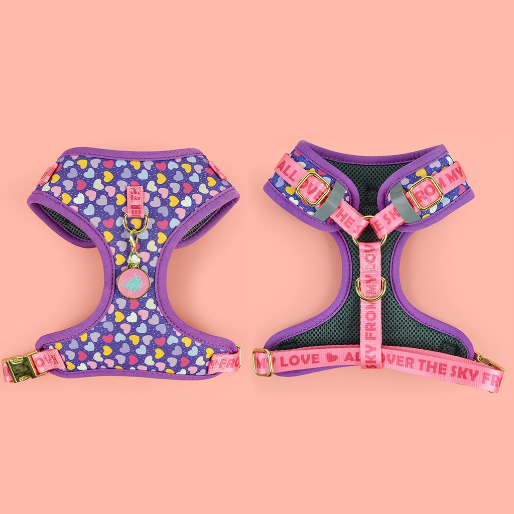 Adjustable Breathable Dog Harness