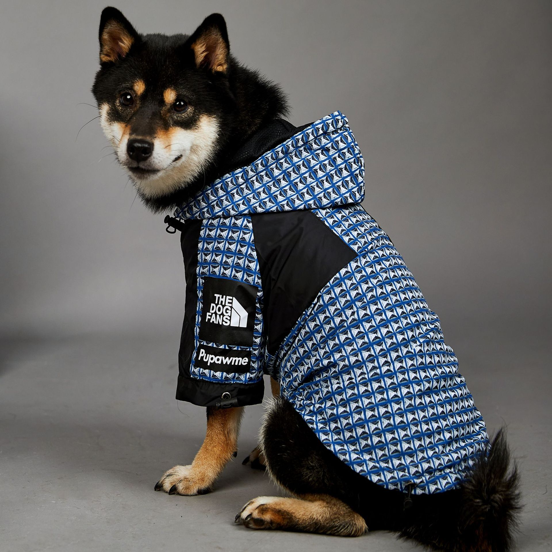 Dog Raincoat