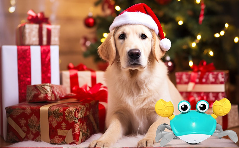 Crab Dog Toy
