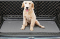 Dog Training Urine Mat, Washable Pet Toilet Pad