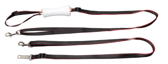 Automatic Retractable Pet Leash for Easy Handling