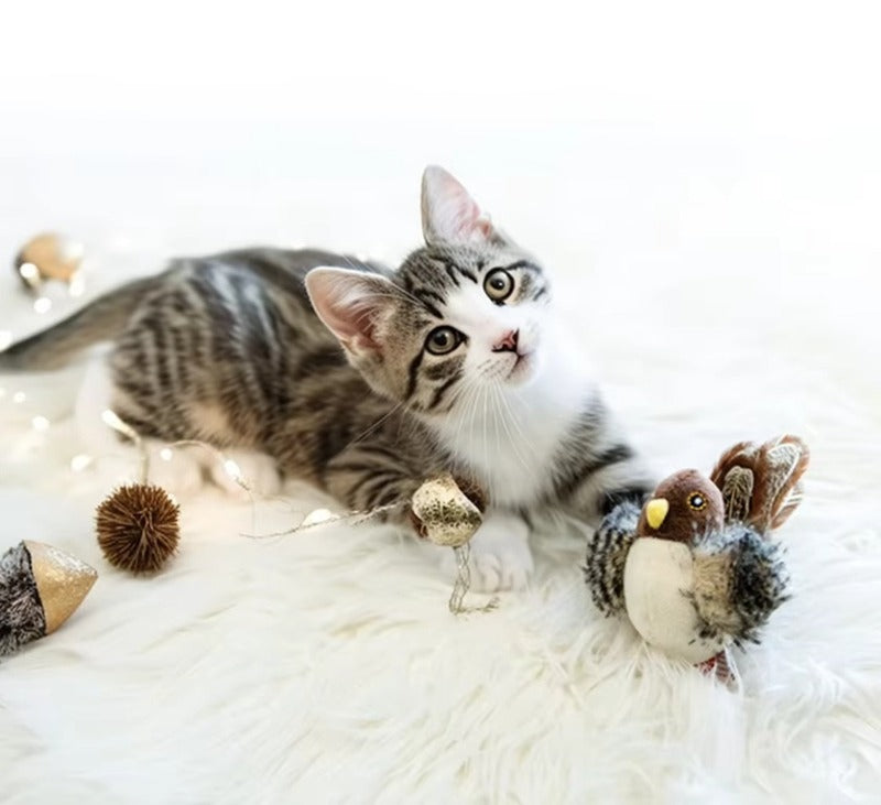Cat Bird Toy with Feather
