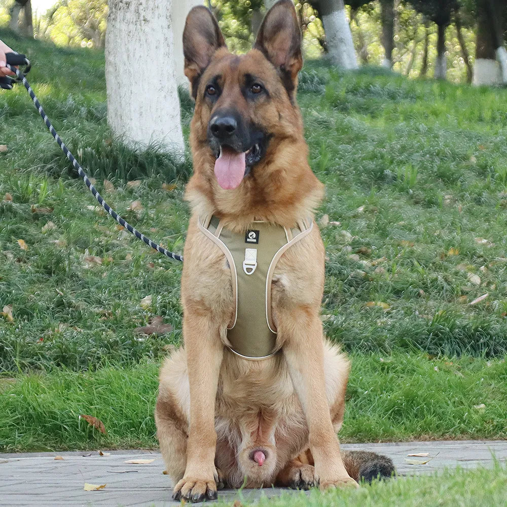Pet Chest Vest  Strap