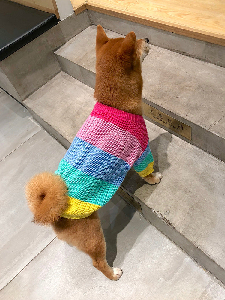 Rainbow Sweater for Small Dogs and Cats (Fall/Winter)