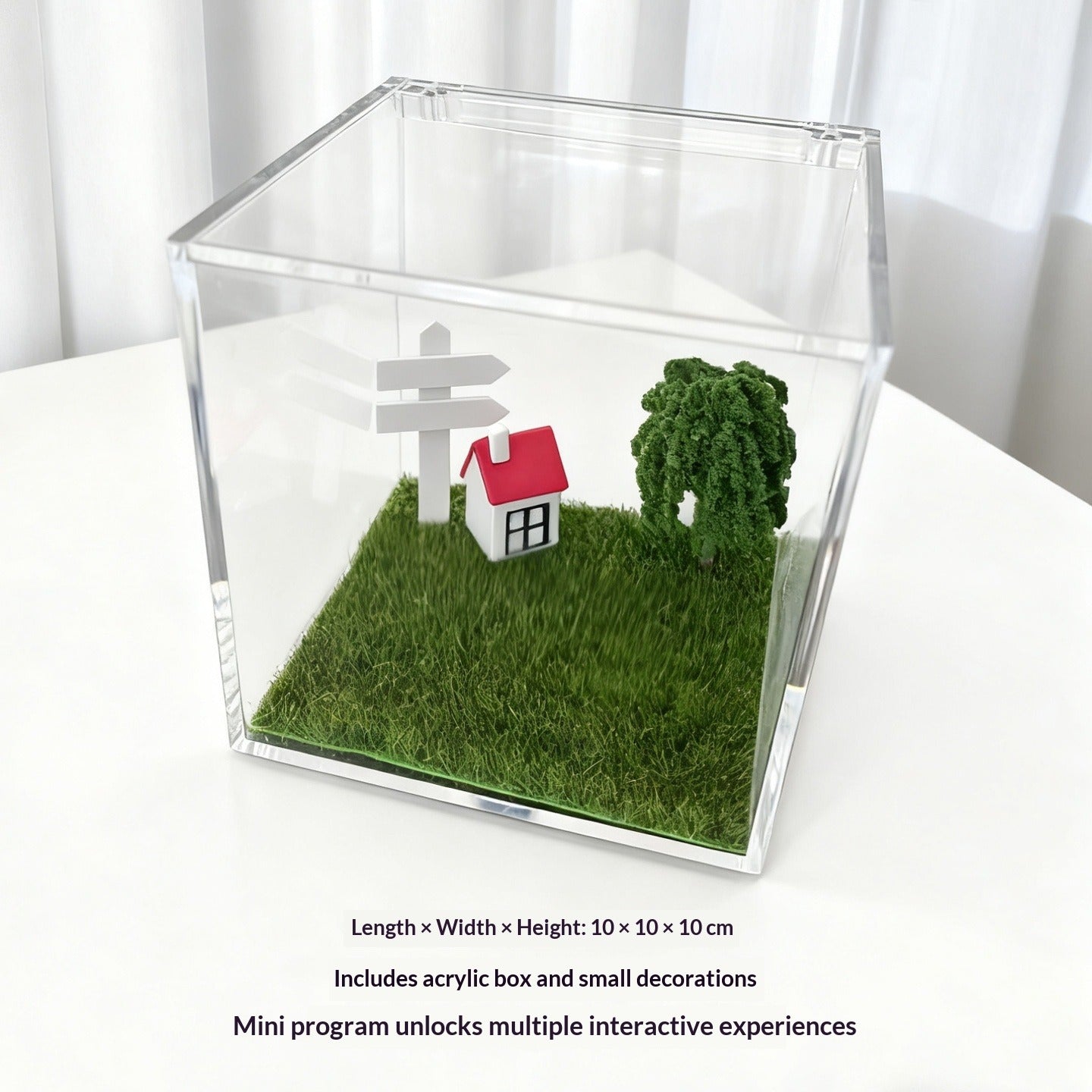 DIY Holographic Memorial Projection Box for Pets