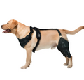 Canine Recovery Thigh Sleeve – Adjustable Post-Surgery Support