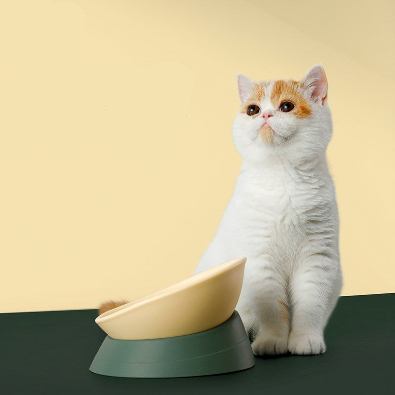 Cat and Dog Bowls with Anti-Spill Double Design