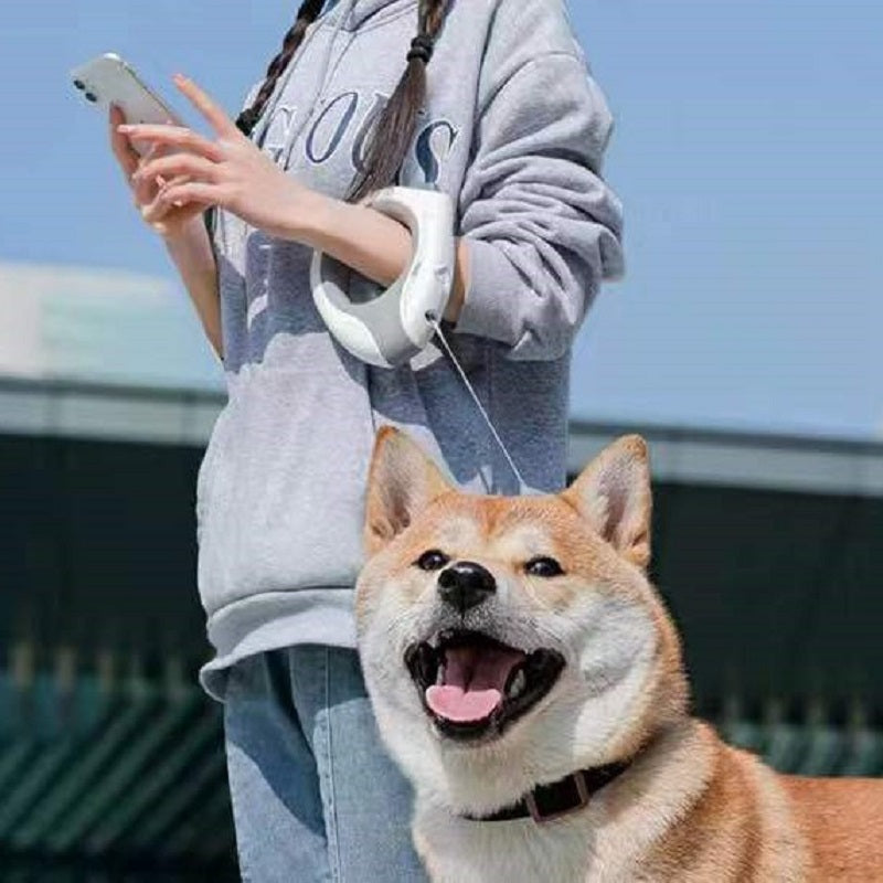 Automatic Retractable LED Dog Leash with Night Light