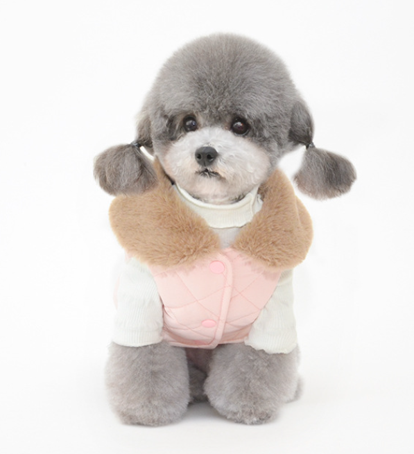 Cotton Winter Clothes for Pets