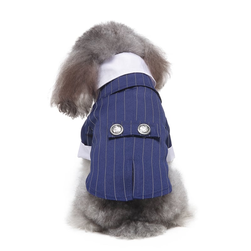 Dog Tuxedo Wedding Dress Outfit for Special Occasions