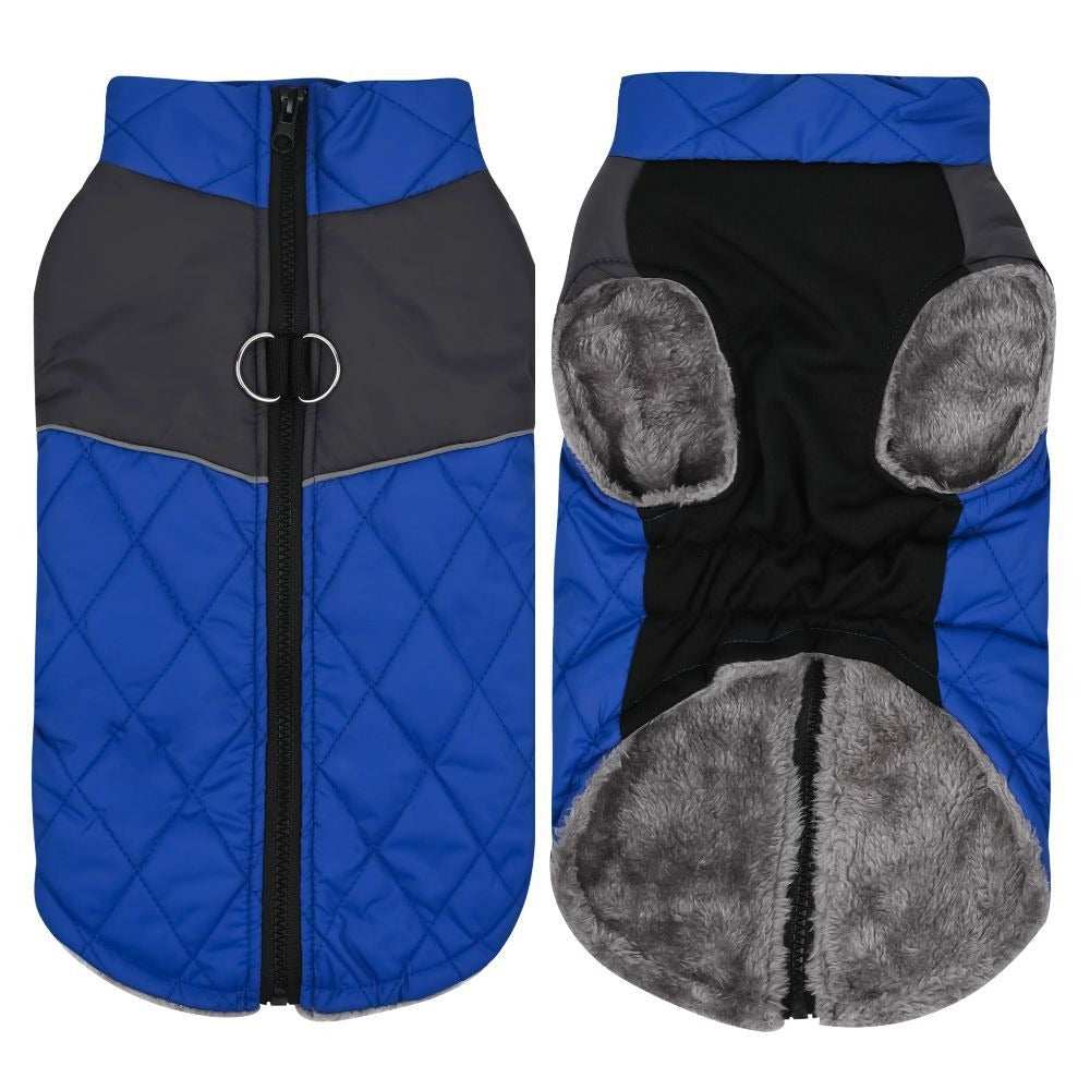 Waterproof Winter Dog Jacket (XS–3XL)