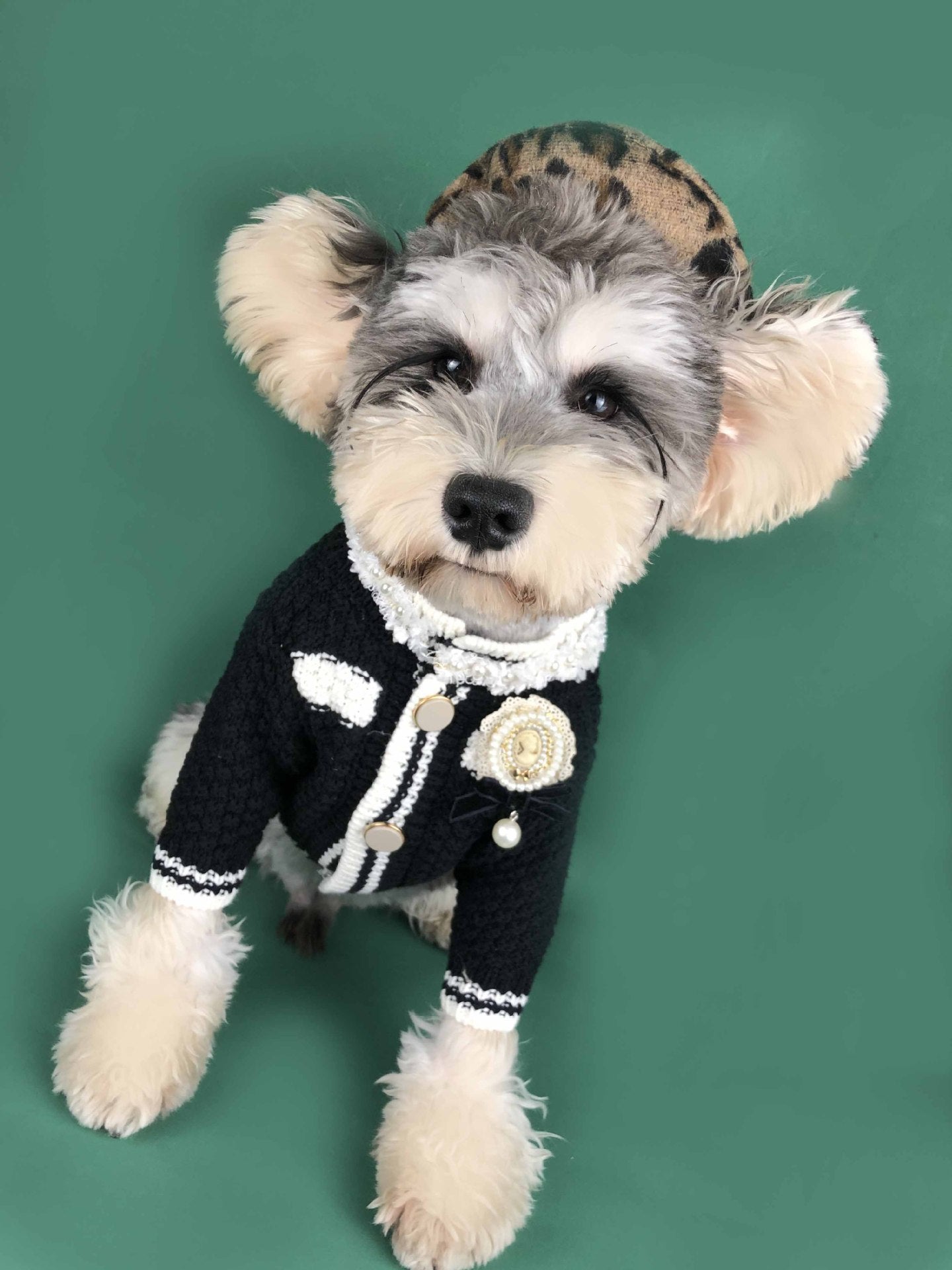 Spring Dog Sweater Cardigan for Small Breeds
