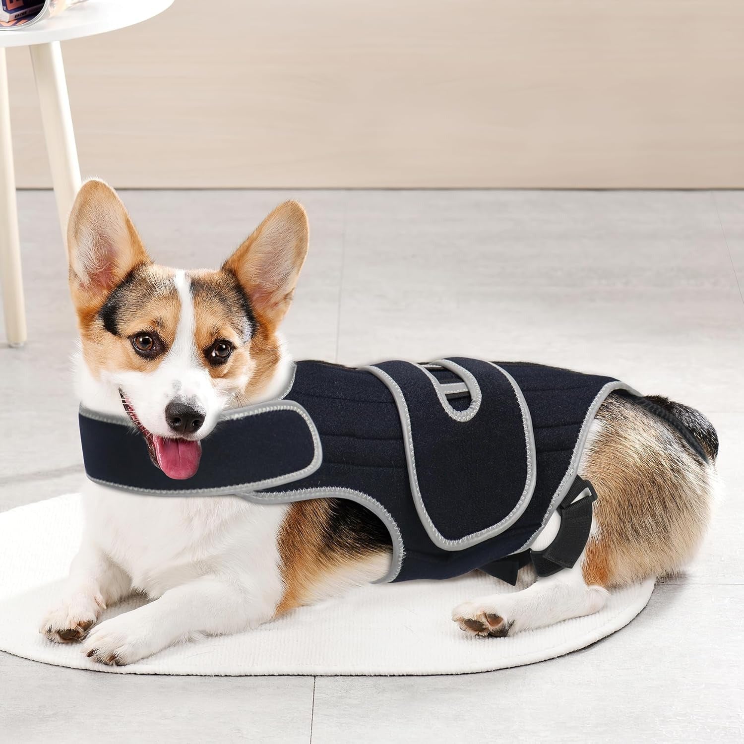 Dog Back Support Sling