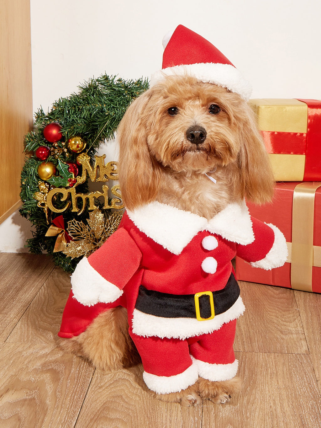 Christmas Small Dog Pet Costume