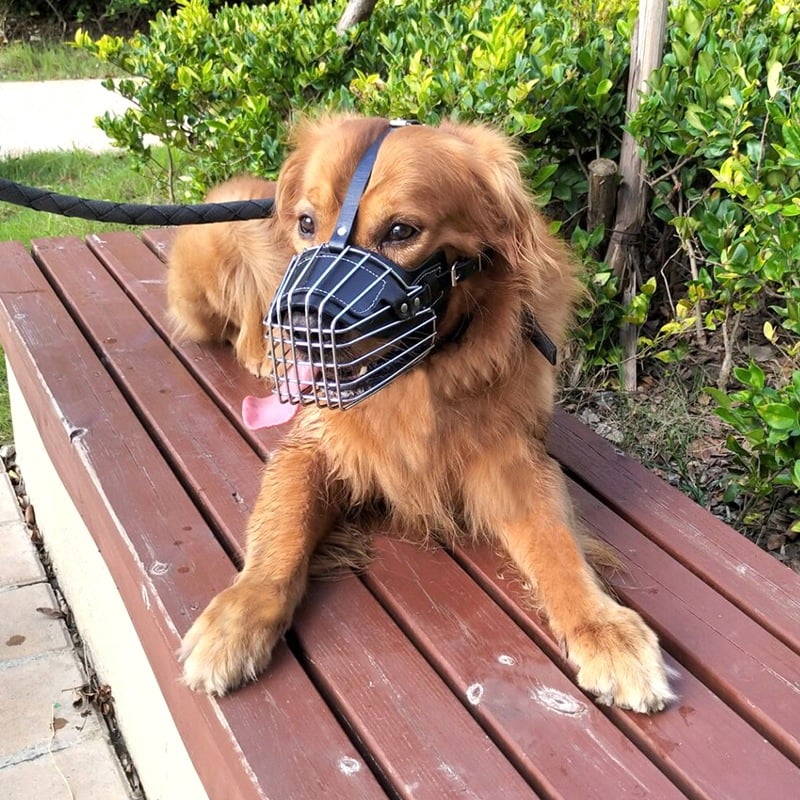 Adjustable Dog Muzzle with Soft Straps for Anti-Bite