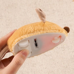 LED Cat Mouse Toy
