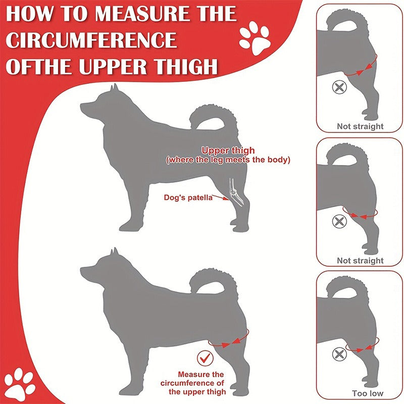 Dog Knee Brace Support for Joint Recovery