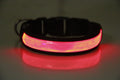Rechargeable Luminous Pet Collar for Dogs